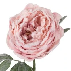 New 💯 Light Pink Snowy Peony Stem by Ashland® 👏 -Ashlandty Shop 10701015 2
