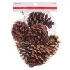 Discount ❤️ Cinnamon Scented Pinecones by Ashland® 🎉 -Ashlandty Shop 10701018 1