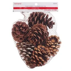 Discount ❤️ Cinnamon Scented Pinecones by Ashland® 🎉