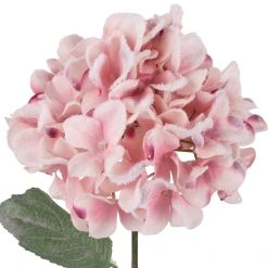 Cheap π Pink Snowy Hydrangea Stem by Ashland® β¨ 5 Cheap π Pink Snowy Hydrangea Stem by Ashland® β¨ -Ashlandty Shop 10701025 2