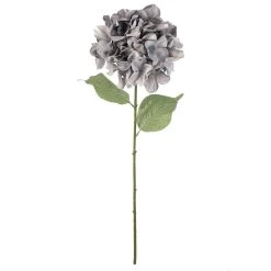 Wholesale โจ Gray Hydrangea Stem by Ashland® ๐