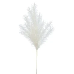 Best deal ✨ White Pampas Branch Stem by Ashland® ⭐