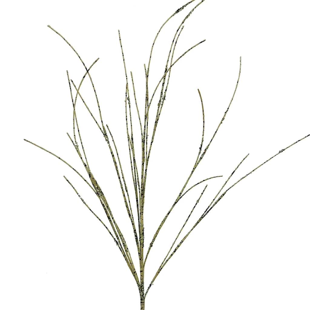 Hot Sale 🤩 Birch Branch Stem by Ashland® 🔥 4 Hot Sale 🤩 Birch Branch Stem by Ashland® 🔥 - Image 2