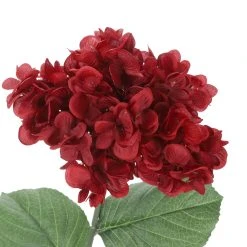 Best Sale 🥰 Iced Red Wild Hydrangea Stem by Ashland® ✔️ -Ashlandty Shop 10701046 3