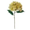 Coupon 🔔 Gold Metallic Hydrangea Stem by Ashland® 😀 -Ashlandty Shop 10701049 1