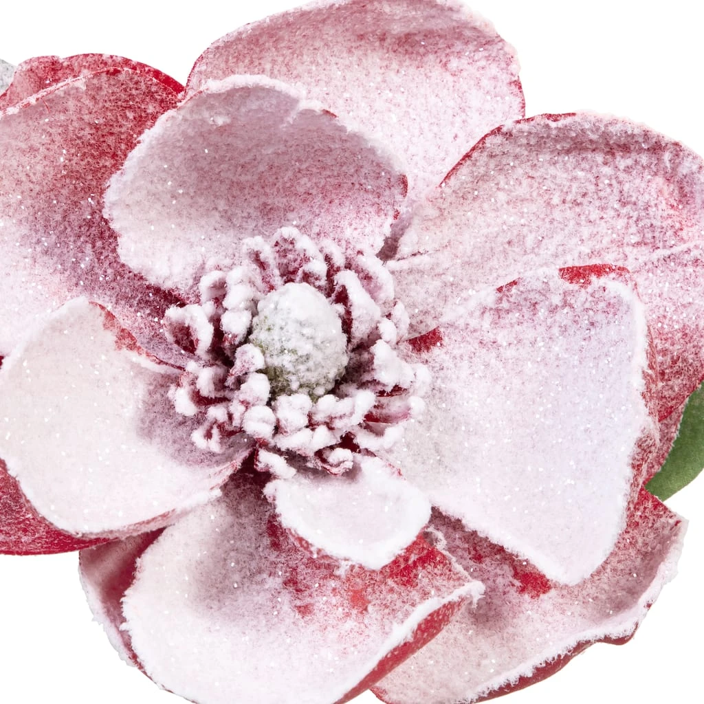 Buy 🧨 Red Snow Covered Magnolia Stem by Ashland® 💯 4 Buy 🧨 Red Snow Covered Magnolia Stem by Ashland® 💯 - Image 2