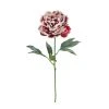 Cheap ⌛ Snowy Red Peony Stem by Ashland® 💯 -Ashlandty Shop 10701053 1