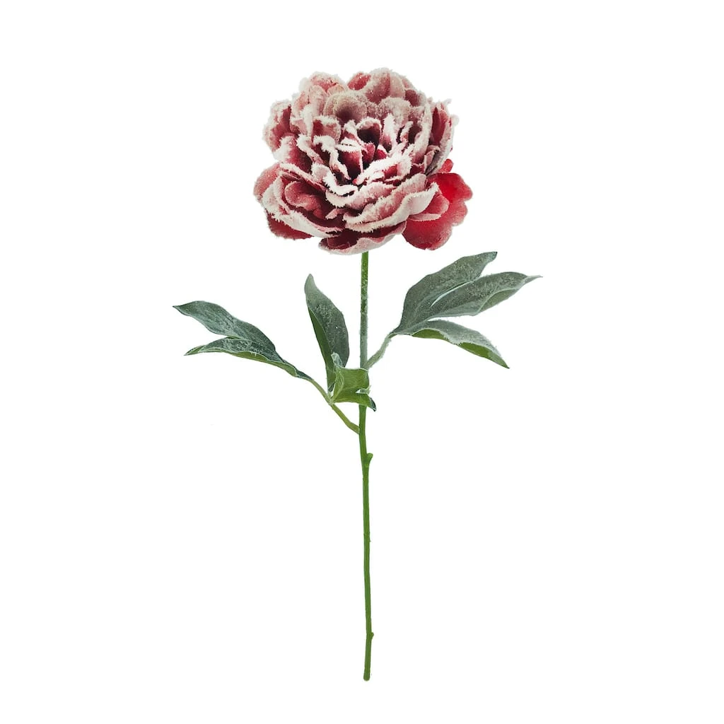Cheap β Snowy Red Peony Stem by Ashland® π― 3 Cheap β Snowy Red Peony Stem by Ashland® π―