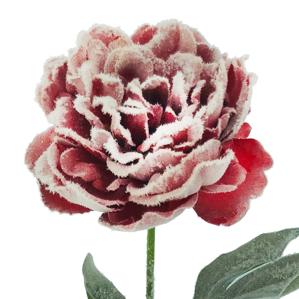 Cheap β Snowy Red Peony Stem by Ashland® π― 4 Cheap β Snowy Red Peony Stem by Ashland® π― - Image 2