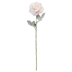 Deals 🥰 Snow Covered Champagne Rose Stem by Ashland® ⭐