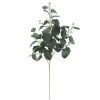 Cheap 🥰 Dark Green Eucalyptus Stem by Ashland® 😀 -Ashlandty Shop 10701058 1