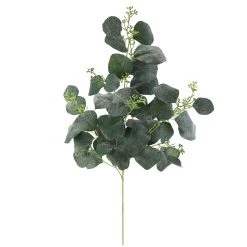 Cheap 🥰 Dark Green Eucalyptus Stem by Ashland® 😀 -Ashlandty Shop 10701058 2