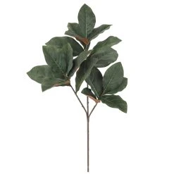 Best Pirce 😉 Dark Green Magnolia Leaf Stem by Ashland® ✨