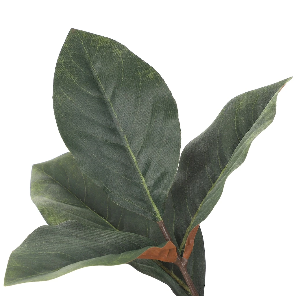 Best Pirce π Dark Green Magnolia Leaf Stem by Ashland® β¨ 5 Best Pirce π Dark Green Magnolia Leaf Stem by Ashland® β¨ - Image 3