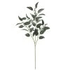 Best reviews of 🎉 Dark Green Iced Eucalyptus Leaf Stem by Ashland® 🛒 -Ashlandty Shop 10701061 1