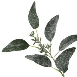 Best reviews of 🎉 Dark Green Iced Eucalyptus Leaf Stem by Ashland® 🛒 -Ashlandty Shop 10701061 3