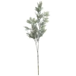 Top 10 👏 Flocked Cedar Pine Stem by Ashland® ✨