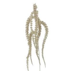 Best Pirce 🥰 Laceleaf Stem by Ashland® 🤩 -Ashlandty Shop 10701296 2