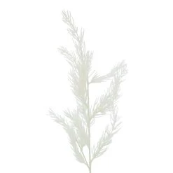 Budget 😀 White Stem Pine by Ashland® 🎁 -Ashlandty Shop 10701302 2