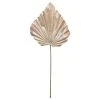 Deals 🎁 Champagne Palm Leaf Stem by Ashland® 🔥 -Ashlandty Shop 10701306 1