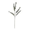 Buy ⭐ Snowy Eucalyptus Stem by Ashland® 🌟 -Ashlandty Shop 10701309 1