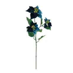 Coupon 🎉 Blue Poinsettia Stem by Ashland® 🤩