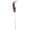 Deals 👏 Red Amaranthus Stem by Ashland® 💯 -Ashlandty Shop 10701321 1