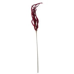 Deals 👏 Red Amaranthus Stem by Ashland® 💯