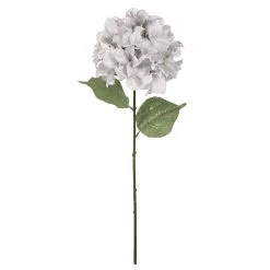 Buy 🤩 White Hydrangea Stem by Ashland® ✨