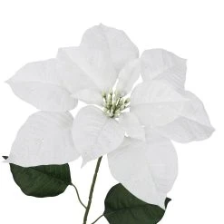 Hot Sale 👍 Glittery White Poinsettia Stem by Ashland® ⭐ -Ashlandty Shop 10701333 3