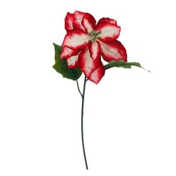 Cheapest 💯 Red & White Poinsettia Stem by Ashland® 🌟