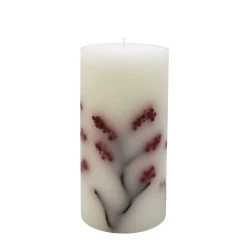 New 👏 3" x 6" Twig & Berry Scented Pillar Candle by Ashland® 😀