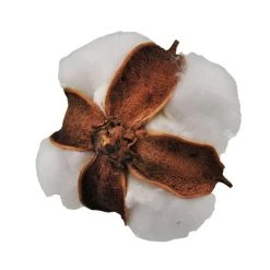 Promo ✨ Cotton Pod Filler by Ashland® 🥰 -Ashlandty Shop 10702008 4