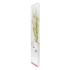 Flash Sale 🤩 30" Gold Pre-Lit Branch by Ashland® 💯 -Ashlandty Shop 10702489 4