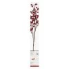 Best reviews of ⌛ Red Berries Twig With 16 Lights by Ashland® 👏 -Ashlandty Shop 10702492 1