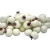 Wholesale 🔔 White Sugared Berries by Ashland® ⭐