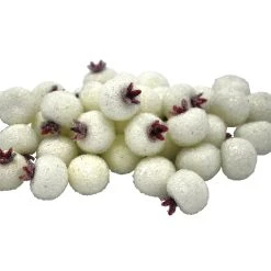 Wholesale 🔔 White Sugared Berries by Ashland® ⭐