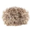Cheap 🤩 Natural Spanish Moss by Ashland® 🧨 -Ashlandty Shop 10703334 2