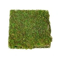 Promo ✨ Green Glitter Moss Mat by Ashland® ❤️ -Ashlandty Shop 10703337 2