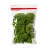 Buy ✔️ Green Reindeer Moss by Ashland® 🔥 -Ashlandty Shop 10703339 1