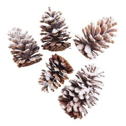 Brand new 🥰 Assorted Pinecone Mix by Ashland® ⌛ -Ashlandty Shop 10703682 2