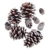 Promo βοΈ Brown & Silver Glitter Pinecones by Ashland® π― 1 Promo βοΈ Brown & Silver Glitter Pinecones by Ashland® π― -Ashlandty Shop 10703687 2