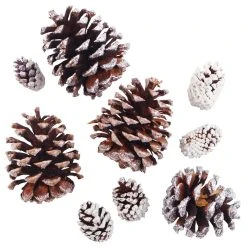 Best Sale 🎁 Snow Dusted Pinecones by Ashland® 💯
