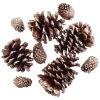 Best Sale π Brown & Gold Glitter Pinecones by Ashland® β¨ 1 Best Sale π Brown & Gold Glitter Pinecones by Ashland® β¨ -Ashlandty Shop 10703689 2