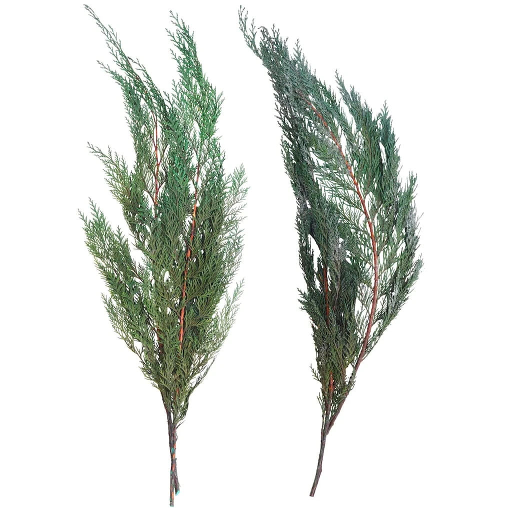 Deals ⌛ Assorted Dried Cedar Bouquet by Ashland® 🤩 3 Deals ⌛ Assorted Dried Cedar Bouquet by Ashland® 🤩