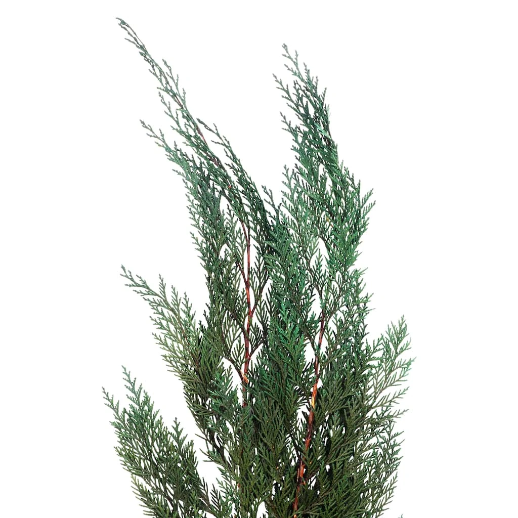 Deals ⌛ Assorted Dried Cedar Bouquet by Ashland® 🤩 4 Deals ⌛ Assorted Dried Cedar Bouquet by Ashland® 🤩 - Image 2