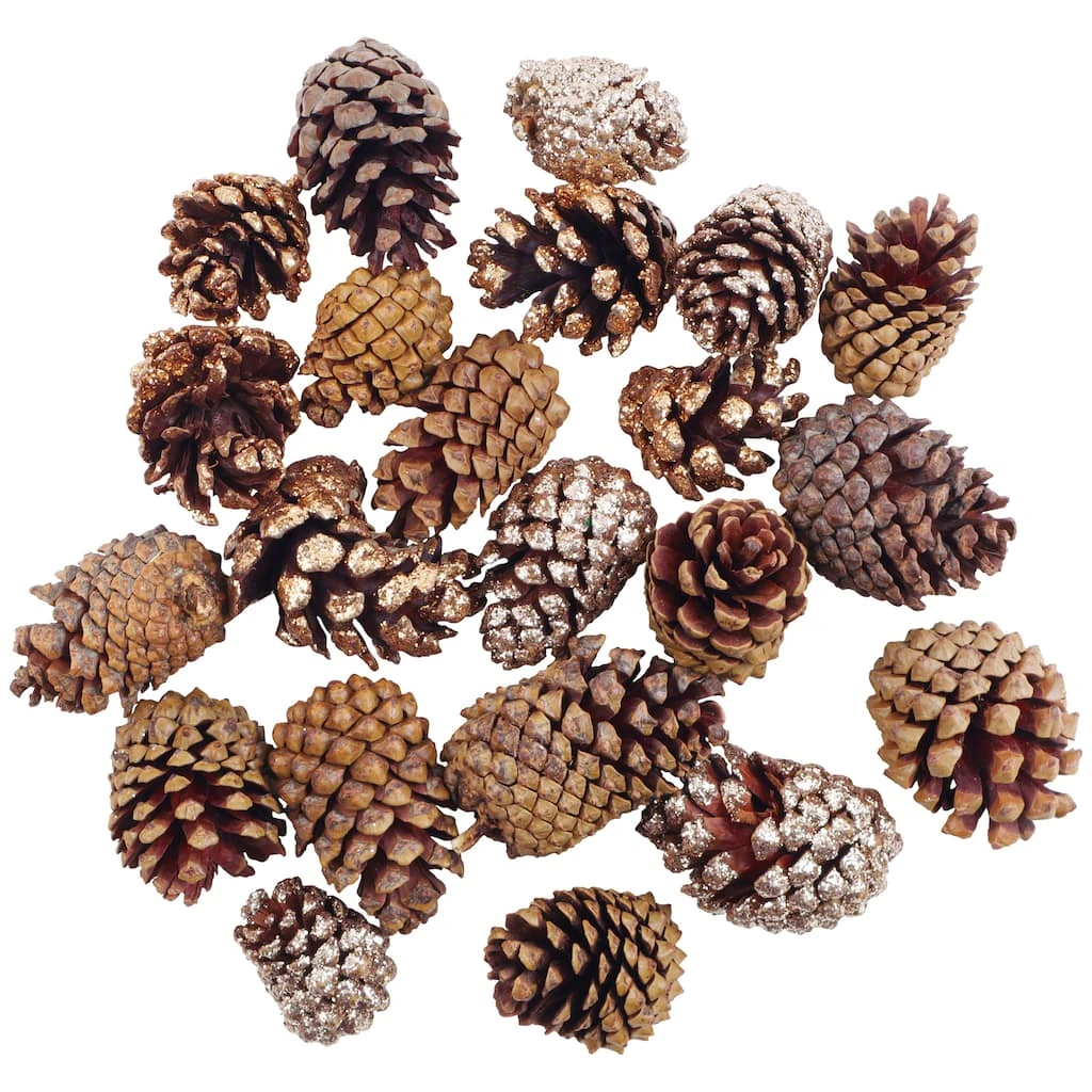 Hot Sale 🤩 Assorted Cinnamon Scented Pinecones by Ashland® 🥰 5 Hot Sale 🤩 Assorted Cinnamon Scented Pinecones by Ashland® 🥰 - Image 3