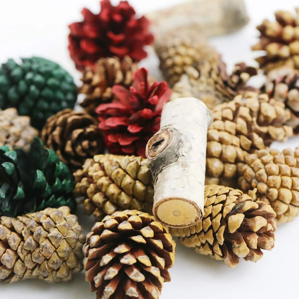 Hot Sale 🤩 Assorted Cinnamon Scented Pinecones by Ashland® 🥰 4 Hot Sale 🤩 Assorted Cinnamon Scented Pinecones by Ashland® 🥰 - Image 2