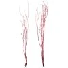 Best Sale 🛒 Assorted Red Birch Branch by Ashland® ⭐ -Ashlandty Shop 10703836 1