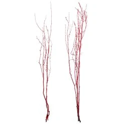 Best Sale 🛒 Assorted Red Birch Branch by Ashland® ⭐